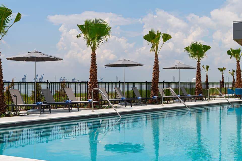 Resort pool with black umbrellas, loungers, palm trees, and waterfront railing views