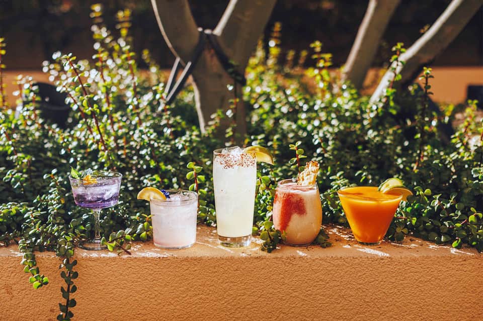 Colorful cocktails displayed on rustic surface with tropical plants and evening lighting