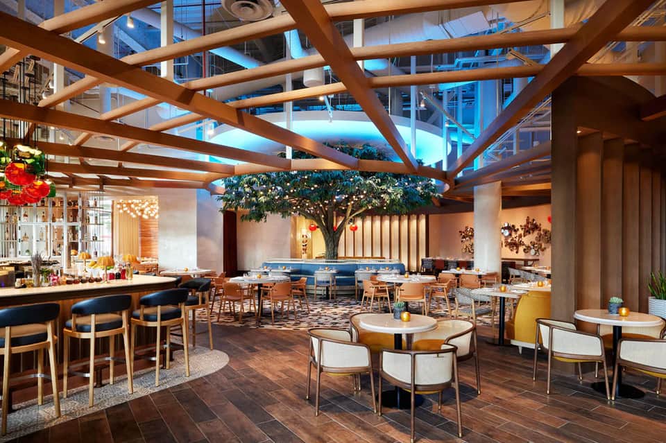 Upscale restaurant with wooden ceiling beams, indoor tree, blue bar seating and floor-to-ceiling windows