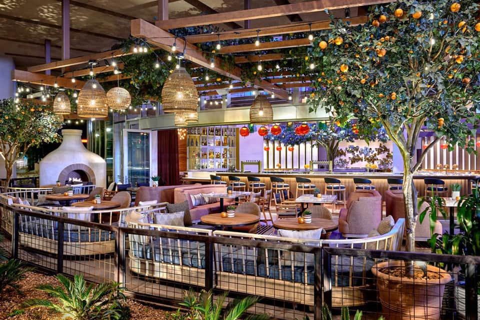 Upscale indoor lounge with hanging plants, string lights, fireplace, and wood beams