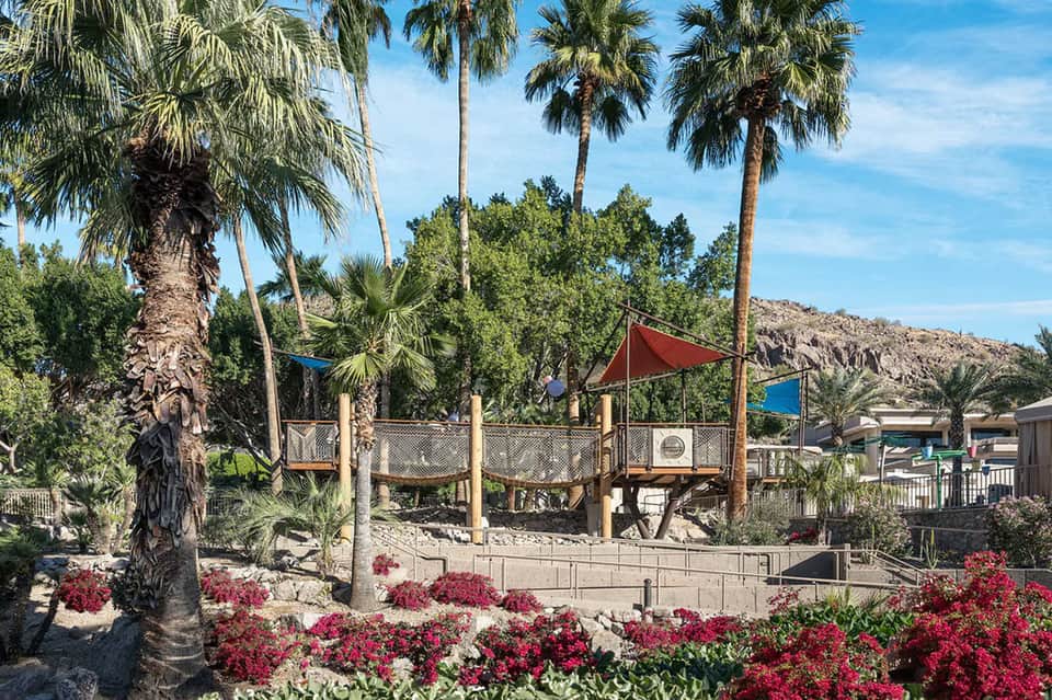 Children's playground with climbing structure amid palm trees and desert landscape with red flowers