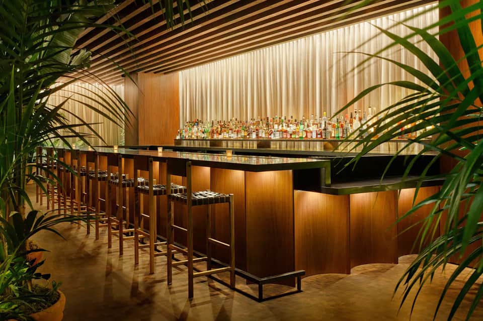 Modern wooden bar with corrugated metal ceiling and tropical plants framing the space