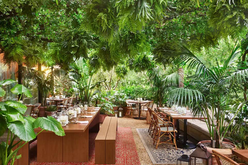 Outdoor dining area with wooden tables beneath dense tropical canopy and lush green vegetation
