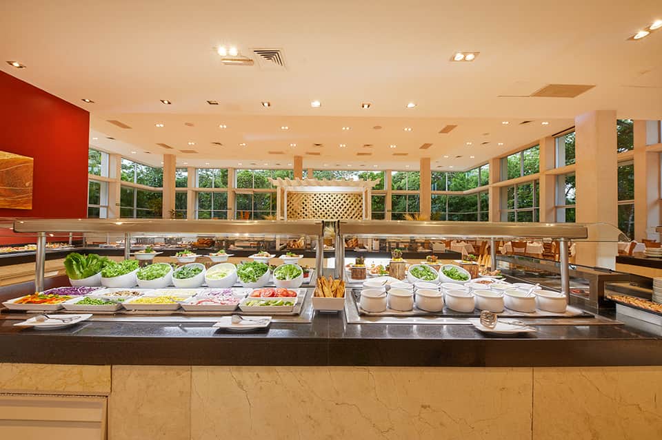 Buffet dining station with salad bar, fresh vegetables, and large windows overlooking grounds