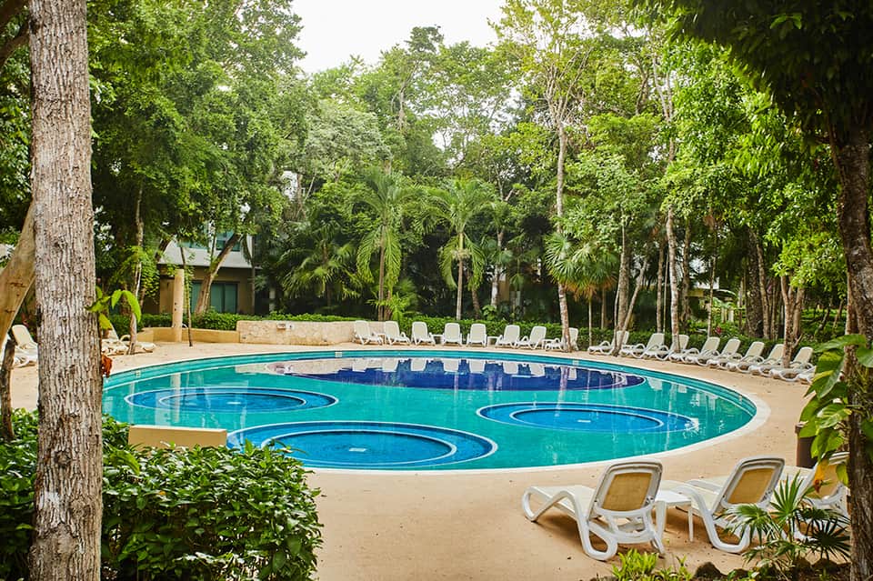 Resort pool surrounded by tall trees with loungers and tropical landscaping