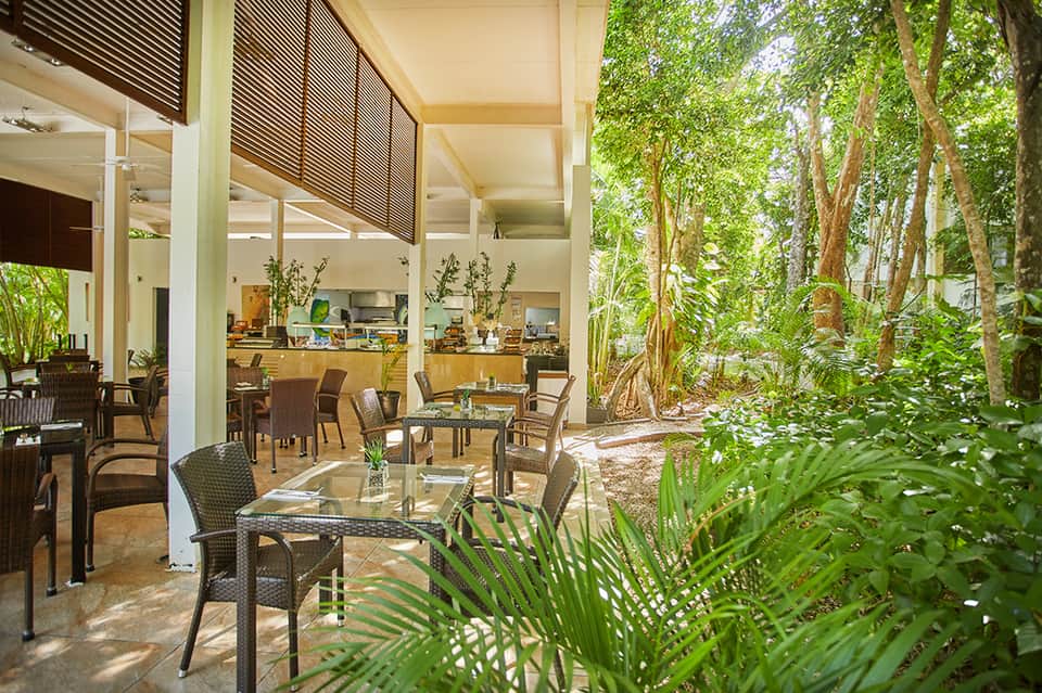 Open-air restaurant with wooden furniture overlooking lush tropical forest canopy