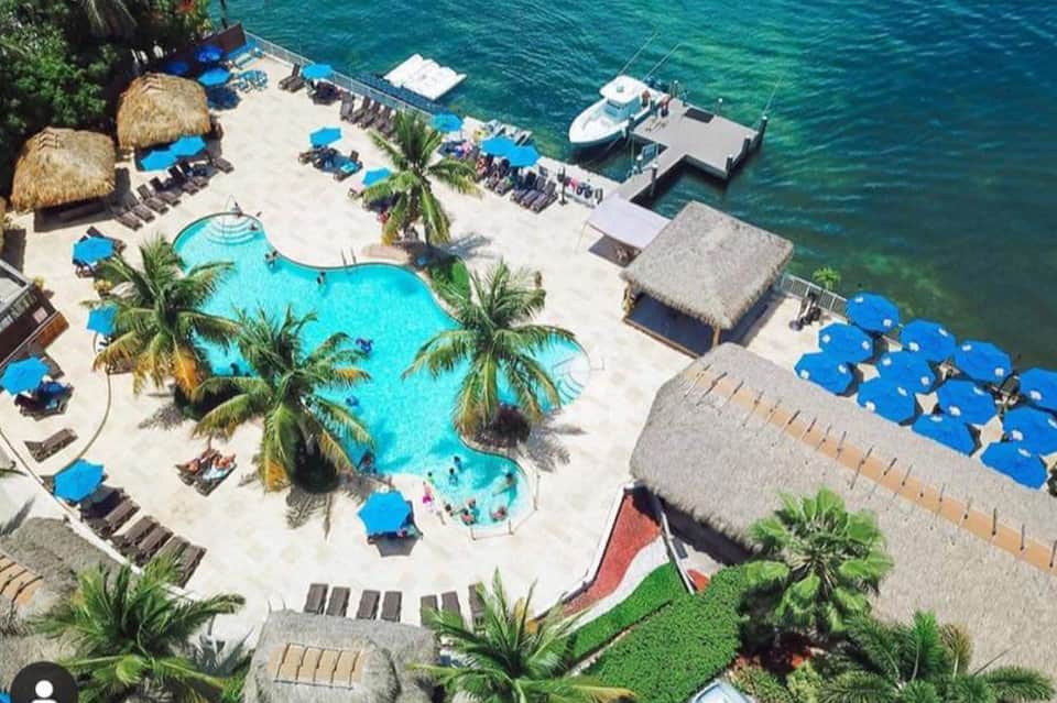 Aerial view of beachfront resort with curved pool, palm trees, and private beach access