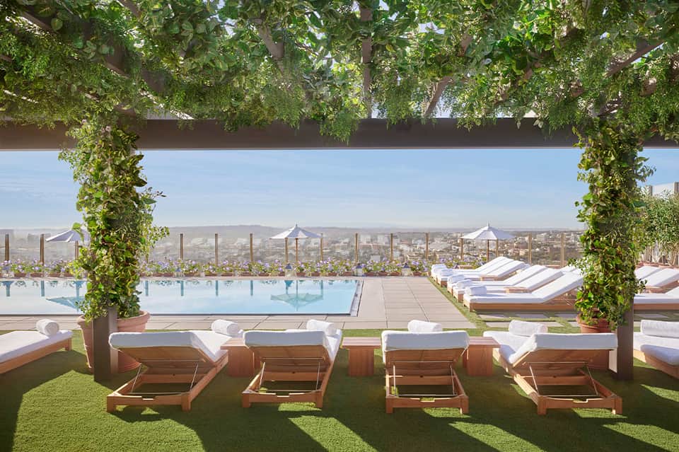 Rooftop pool with ivy-covered pergola, lounge chairs, and panoramic city skyline views at dusk