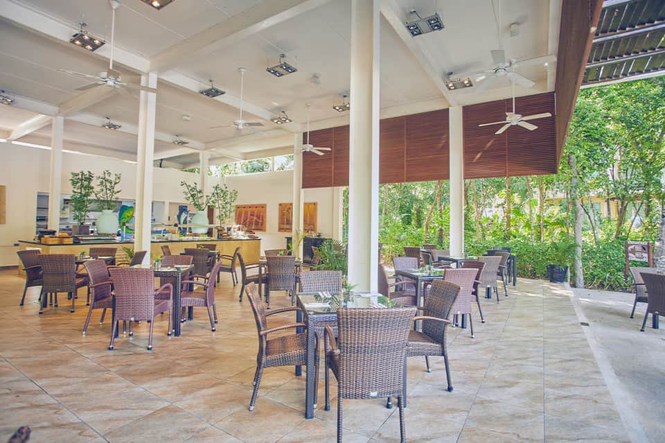Covered outdoor dining area with wicker chairs and green plant wall
