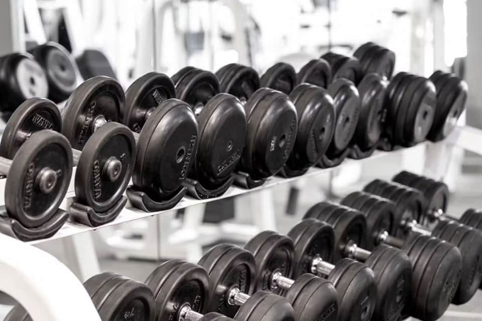 Row of black dumbbells arranged on white rack in fitness center gym facility