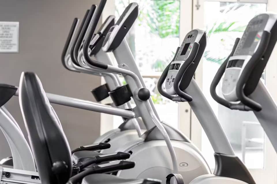 Fitness center with modern exercise bikes, elliptical machines, and windows overlooking greenery