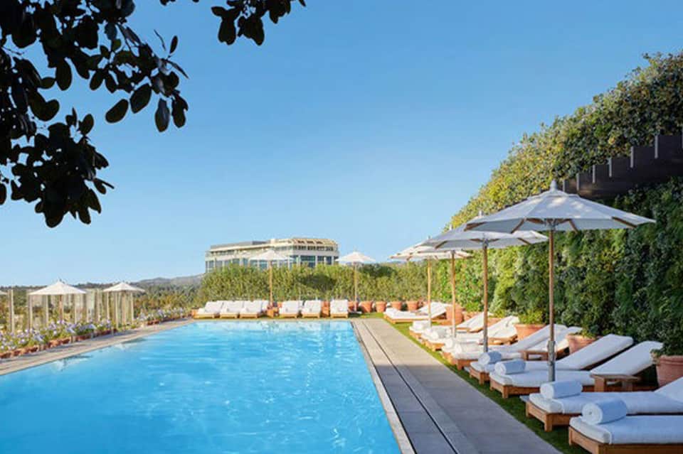 Resort swimming pool surrounded by white lounge chairs, umbrellas, and ivy-covered walls