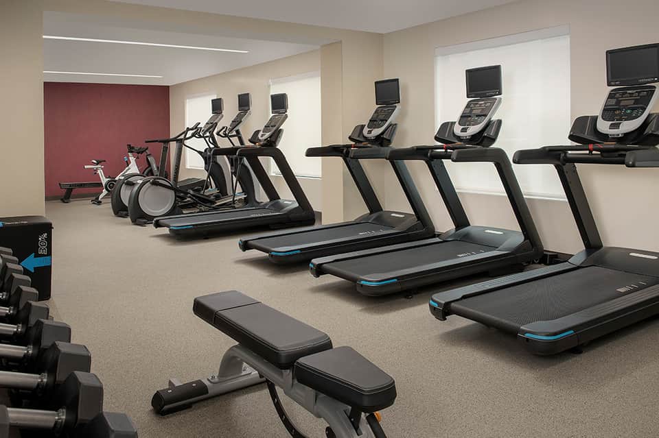 Modern fitness facility featuring treadmills, stationary bikes, and free weights