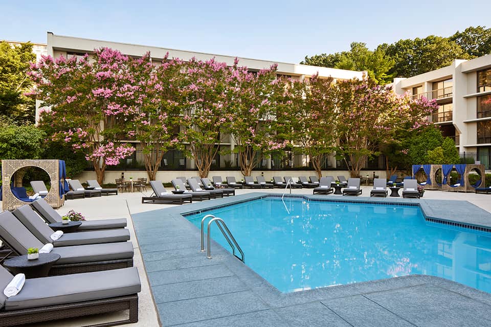 Resort pool with lounge chairs, blooming pink magnolia tree backdrop, and modern architecture