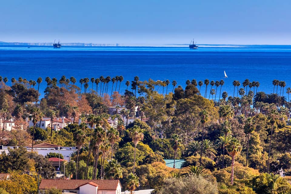 Coastal aerial view with palm trees, luxury homes, sparkling ocean, and sailboats on horizon