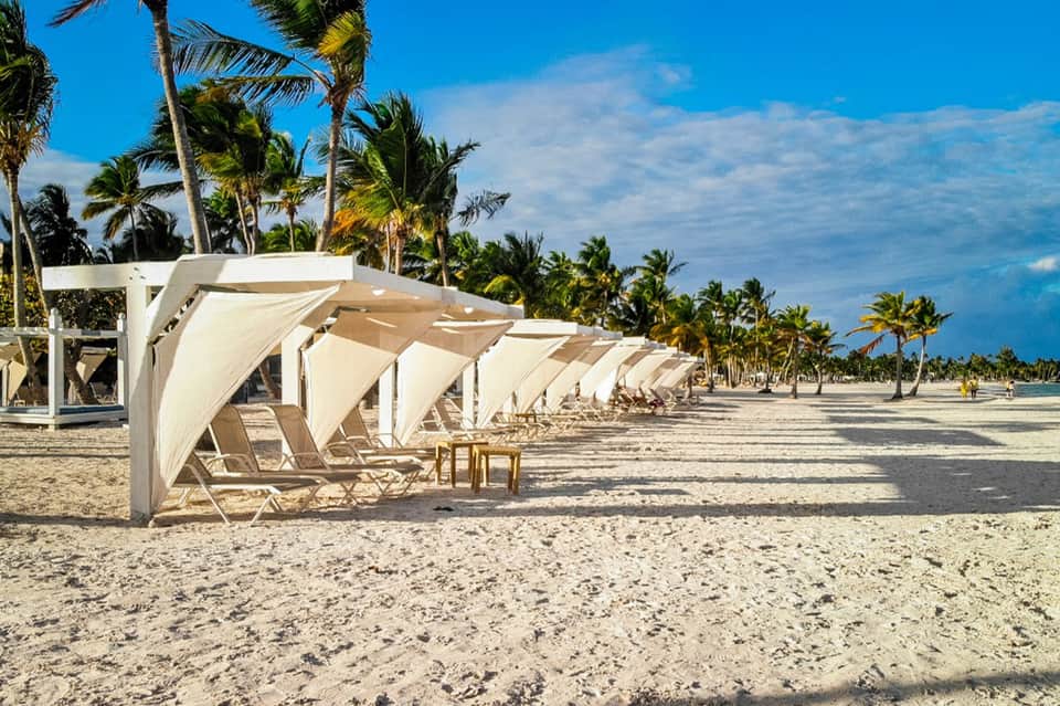 Beach cabanas with white shade structures and palm trees along sandy shore