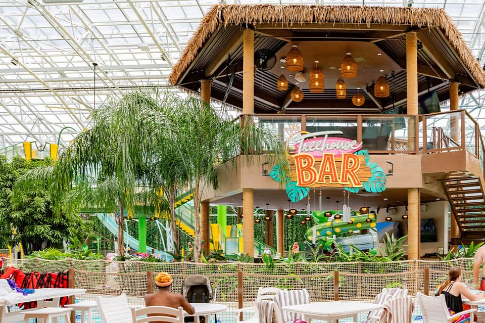 Indoor tropical water park with treehouse bar, lush greenery, and water slides
