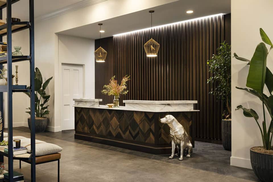 Modern hotel reception desk with dark curtain backdrop, pendant lights, and potted plants flanking entrance