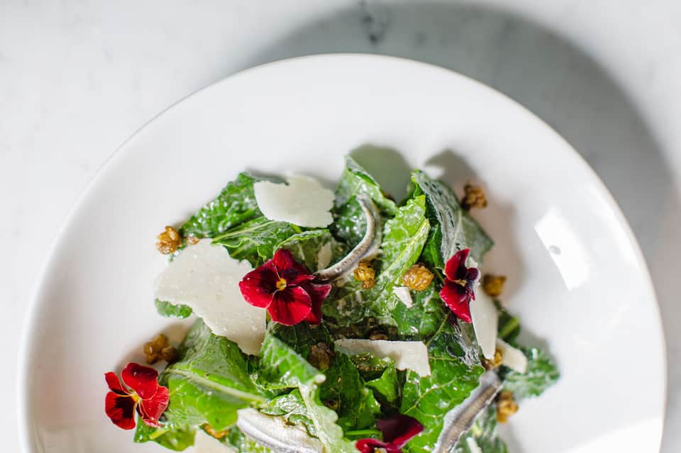 Plated garden salad with edible flowers, fresh greens, and parmesan shavings on white dish