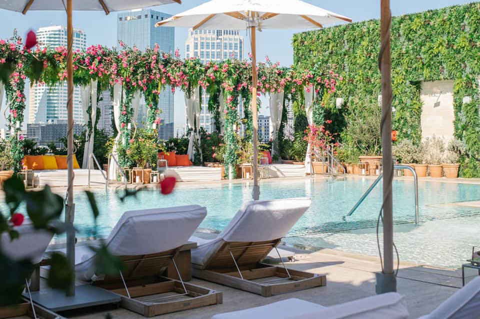 Resort pool with lounge chairs, umbrellas, lush flowering vines, city skyline