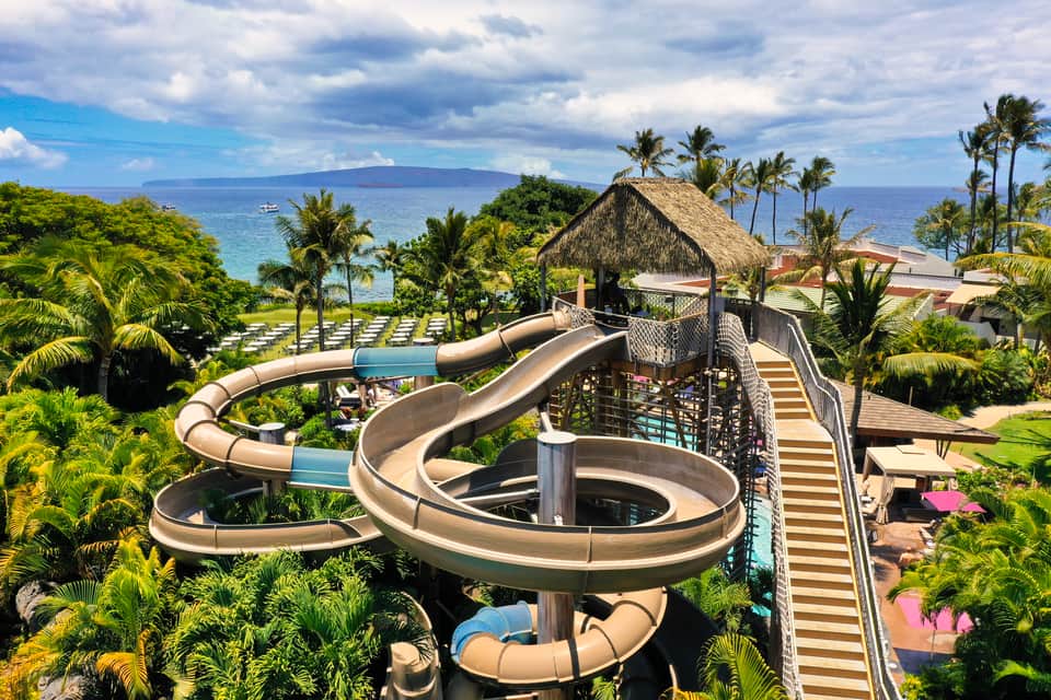 Waterslide towers amid tropical palm trees with ocean and lounge chairs visible below