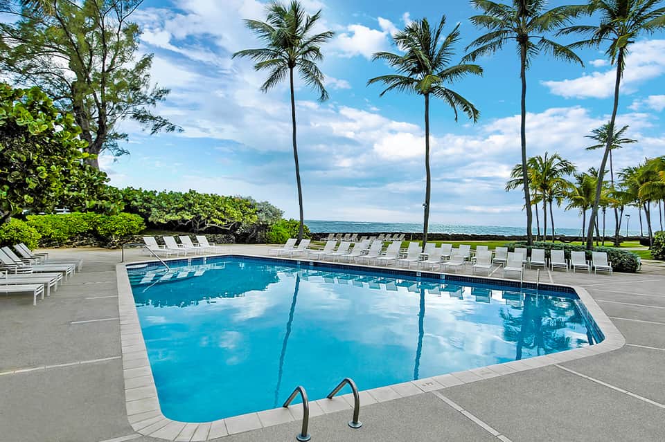 Rectangular pool with clear blue water, white lounge chairs, and palm trees under blue sky