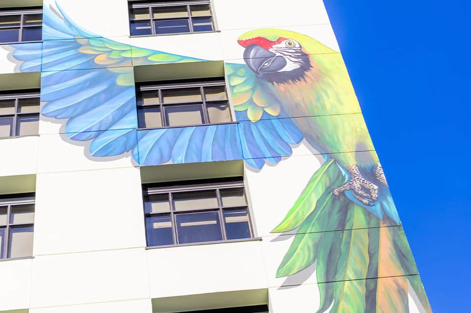 Colorful parrot street mural on white building with blue sky background