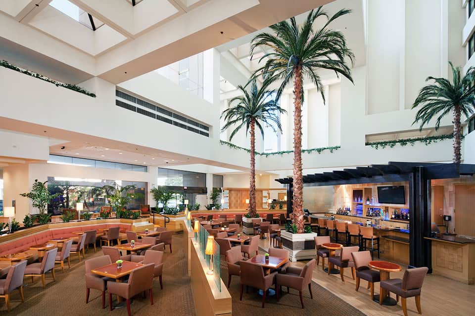Modern resort lobby atrium with tall palm trees, skylights, brown furniture, and multi-level design