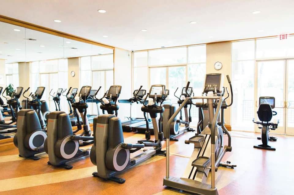 Modern fitness center with rows of stationary bikes and elliptical machines, large windows, wooden accents