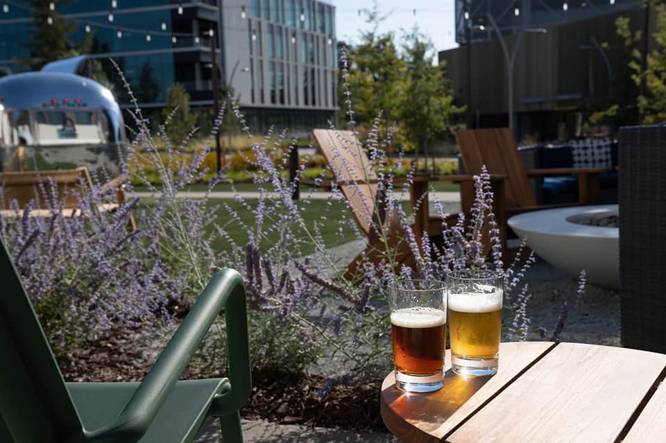 Outdoor rooftop lounge with lavender plants, beer glasses, and modern city architecture backdrop