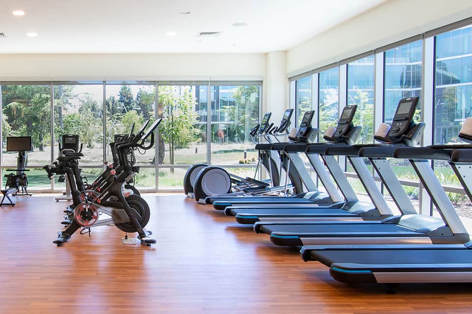 Bright fitness center with treadmills, stationary bikes, and floor-to-ceiling windows overlooking grounds