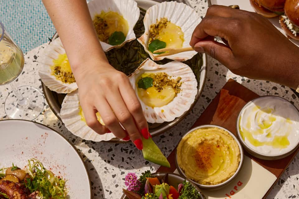 Overhead view of plated Mediterranean appetizers with scallops, hummus, and garnishes on white surface