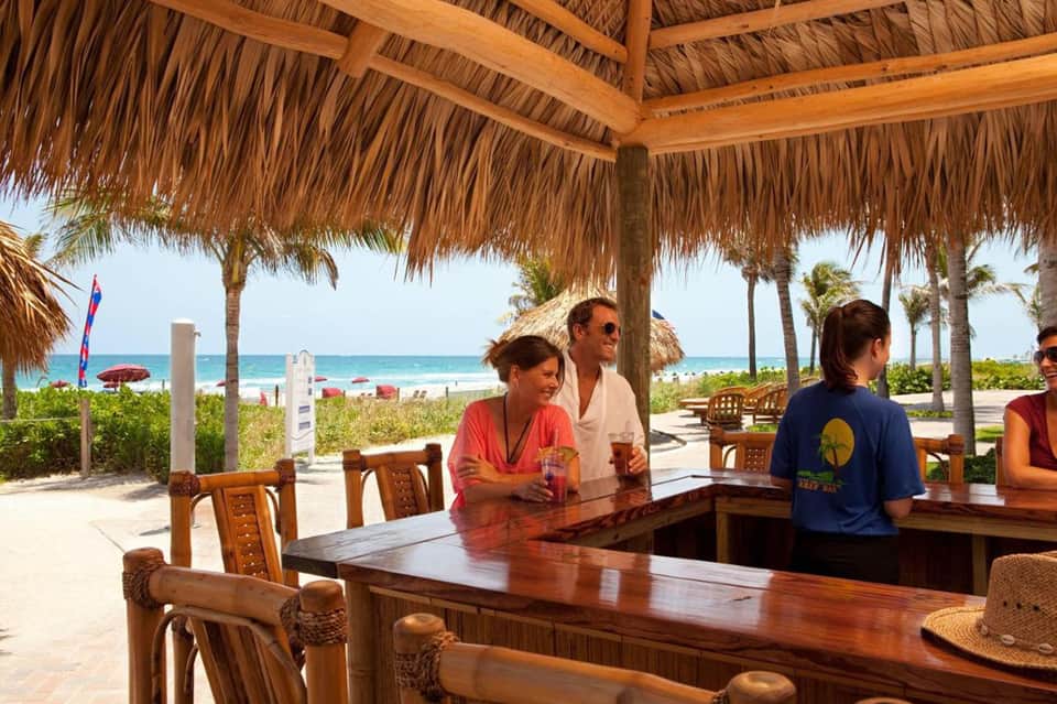 Beach bar with thatched roof, wooden counter seating, tropical palms, and ocean view