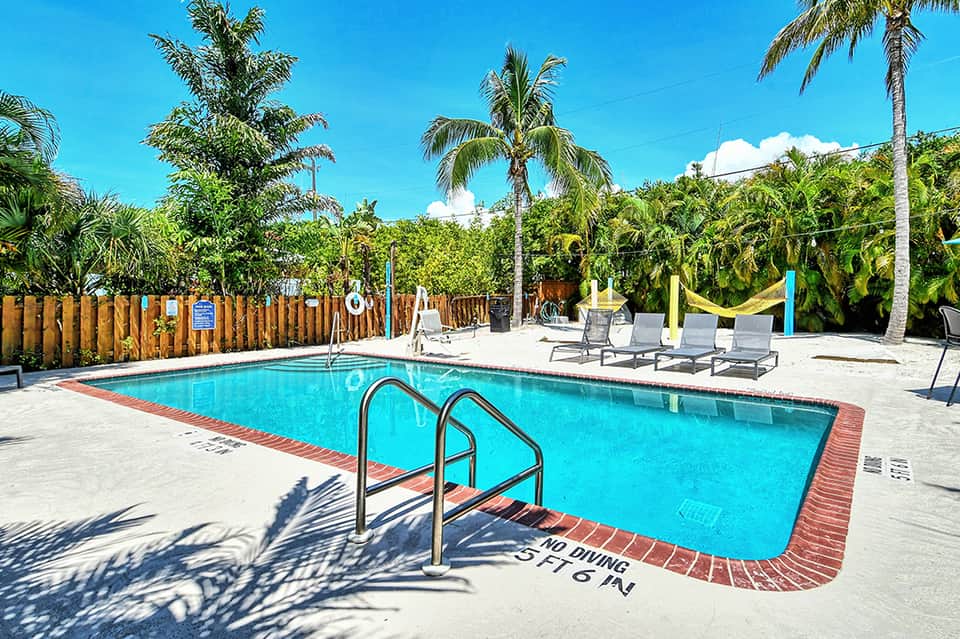 Resort swimming pool with bright blue water, lounge chairs, palm trees, and tropical vegetation