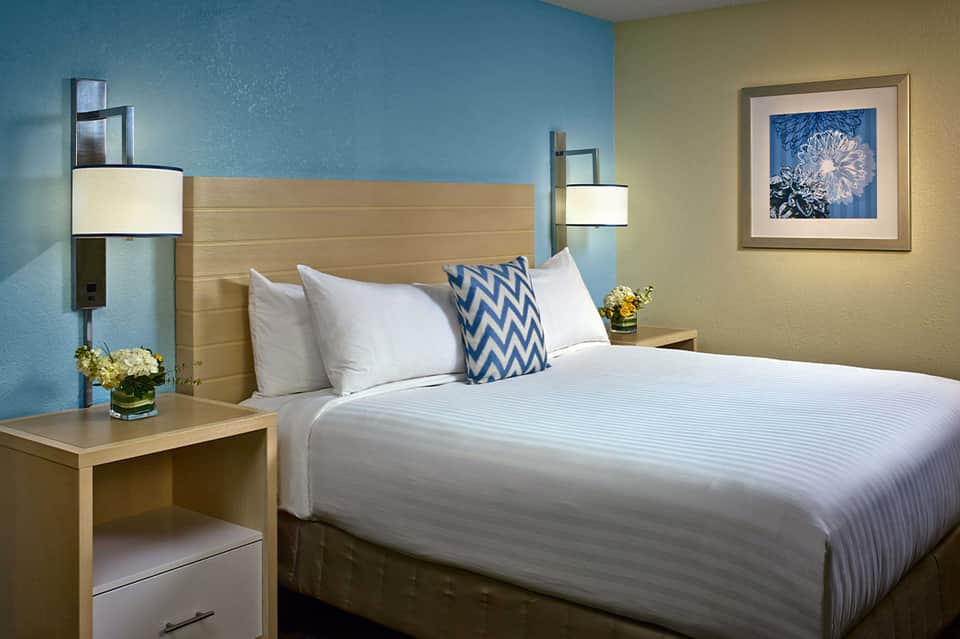 Contemporary hotel bedroom with blue accent wall, wooden headboard, white bedding, and modern furnishings