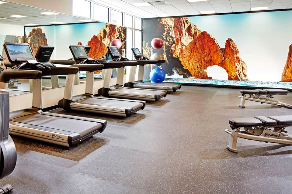Modern fitness center with treadmills facing large wall mural of dramatic rocky coastal cliffs and blue ocean.