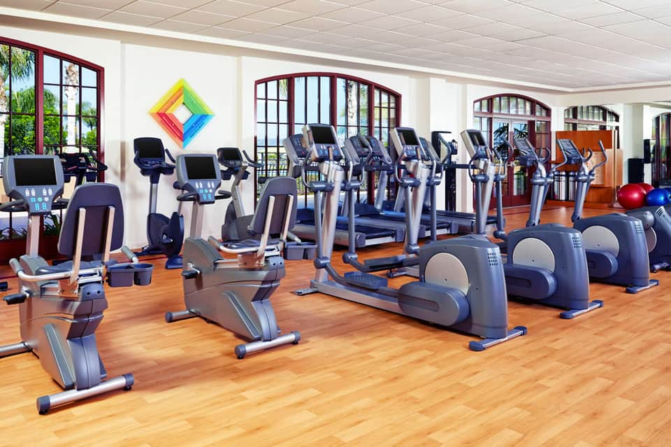 Modern fitness center with cardio equipment, stationary bikes, and treadmills overlooking palm trees
