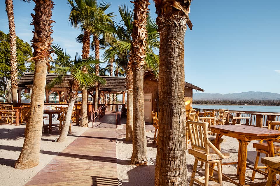 Beachfront dining area with tall palm trees, wooden tables and chairs, and lake view