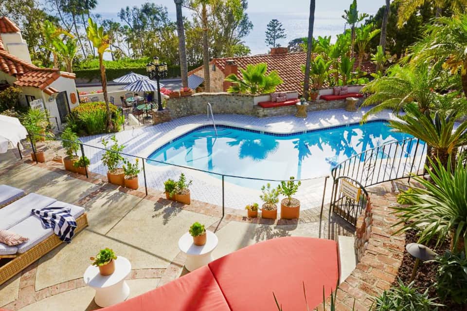 Resort pool with curved edges, glass fencing, tropical plants, and ocean views above