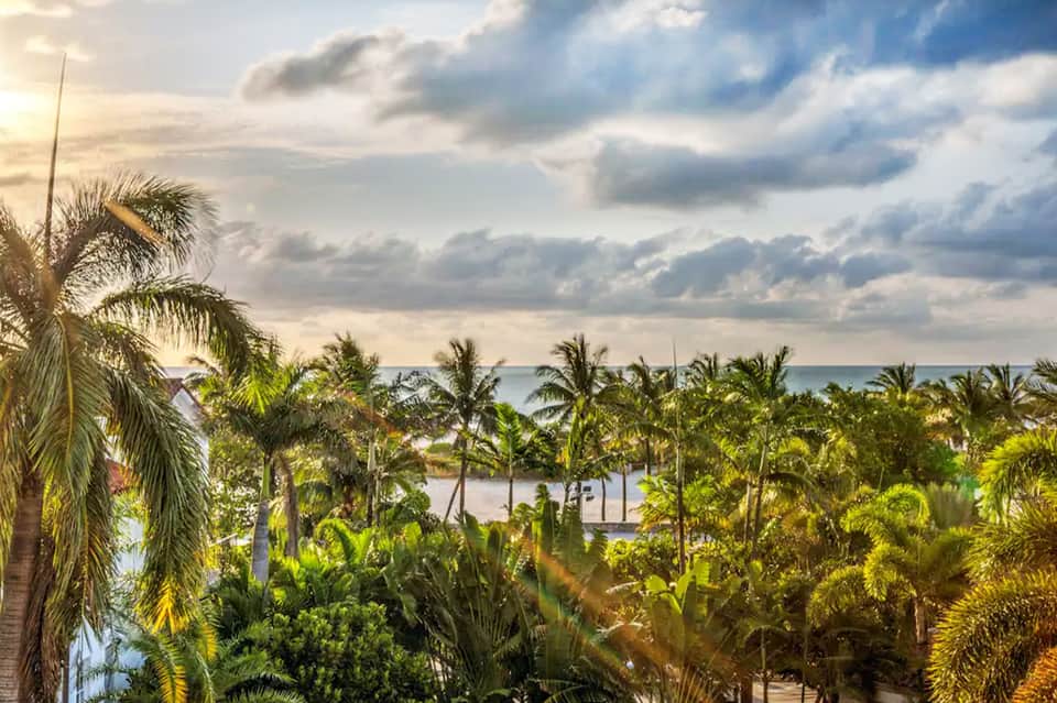 Tropical ocean view through palm trees with boats and beach visible at sunset