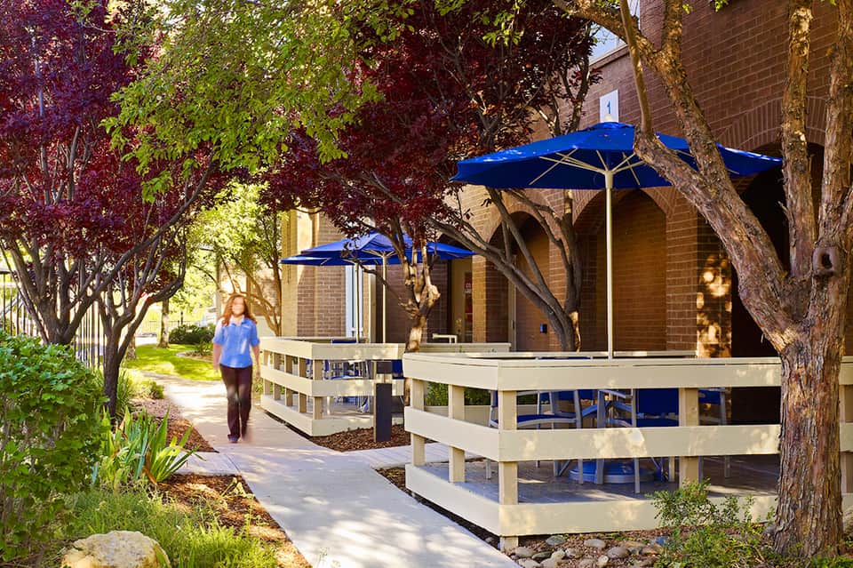Shaded courtyard walkway with blue umbrellas, mature trees, and brick building exterior