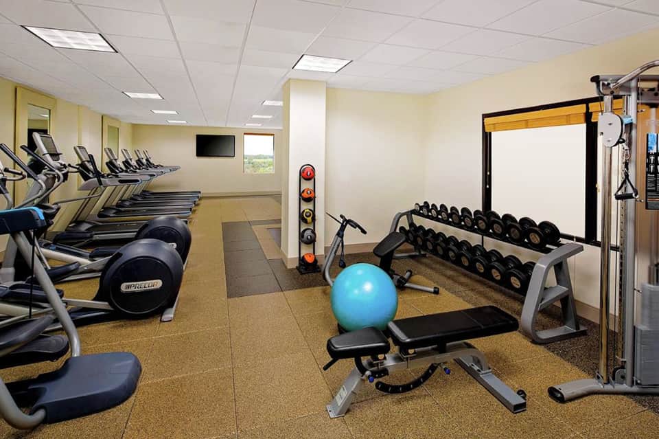Gym interior with treadmills, dumbbells, weight bench, blue exercise ball, and wall-mounted television