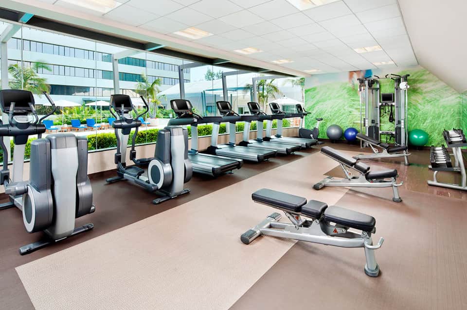 Modern fitness center with cardio equipment, weights, exercise balls, and large windows overlooking city