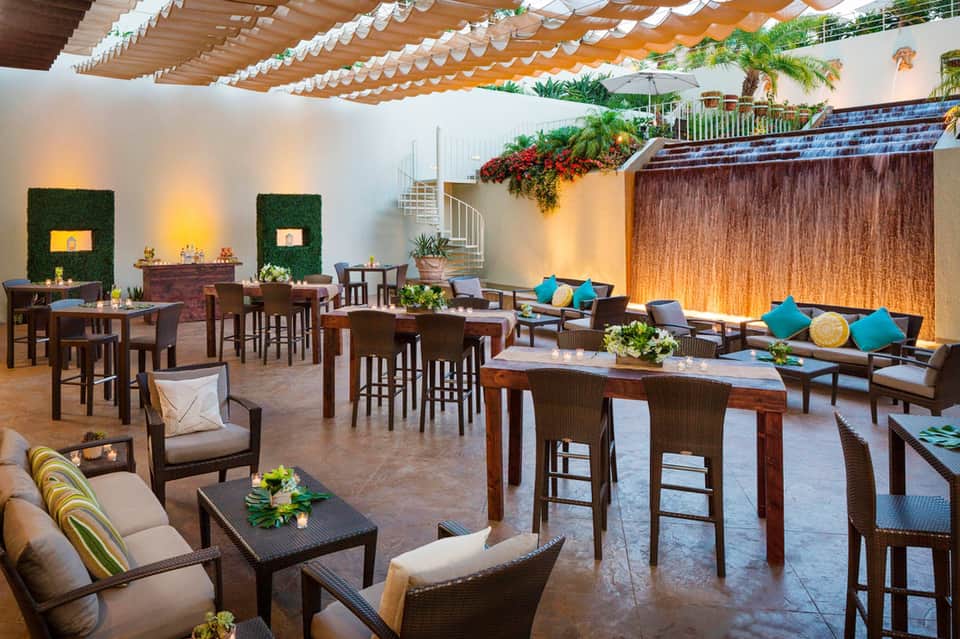 Modern indoor lounge with wooden ceiling, decorative green walls, and tropical furnishings
