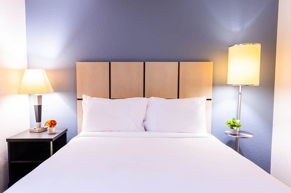 Contemporary bedroom with periwinkle walls, beige upholstered headboard, and bedside lamps