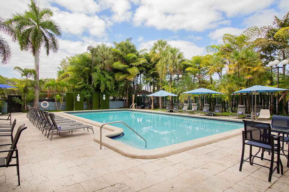 Resort pool surrounded by loungers, umbrellas, and palm trees under blue sky