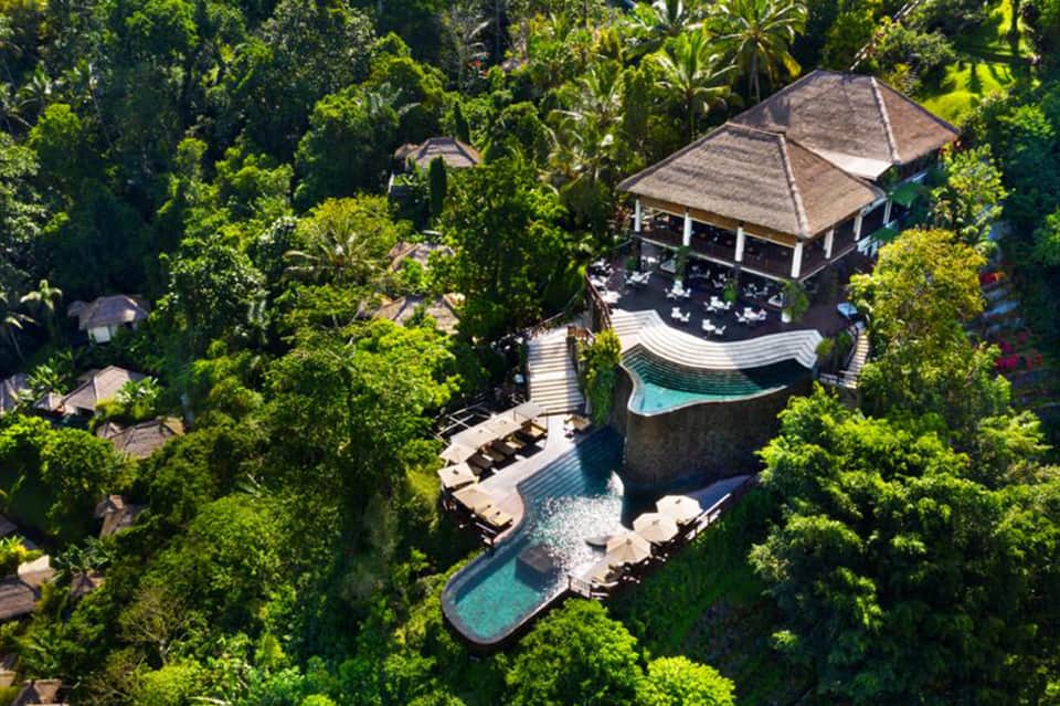 Aerial view of jungle resort with infinity pool, thatched-roof structures, lounge areas nestled in lush green forest