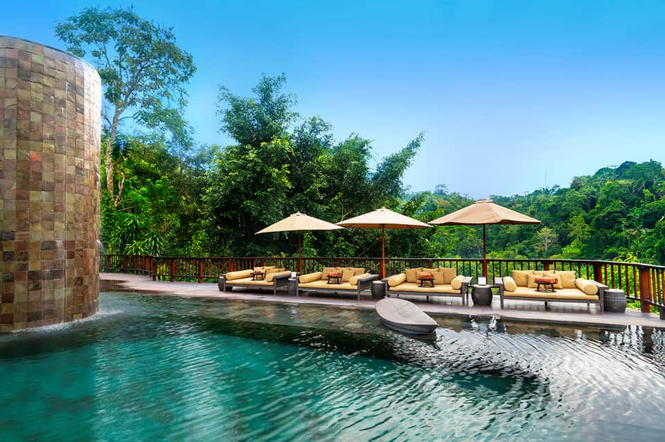Luxury resort pool overlooking lush jungle with tan lounge chairs and umbrellas