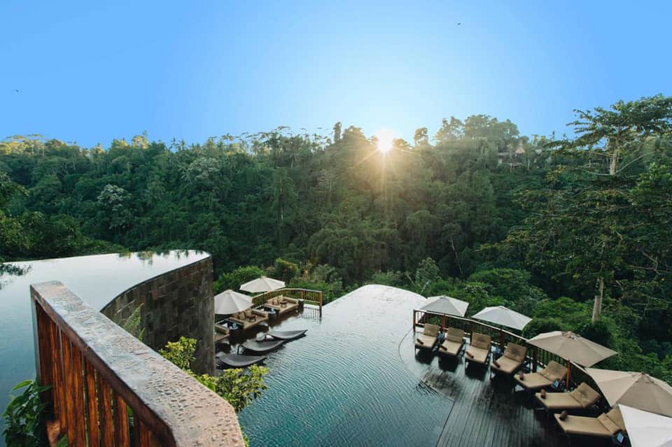 Infinity pool overlooking lush jungle canopy with sun rising through dense tropical forest