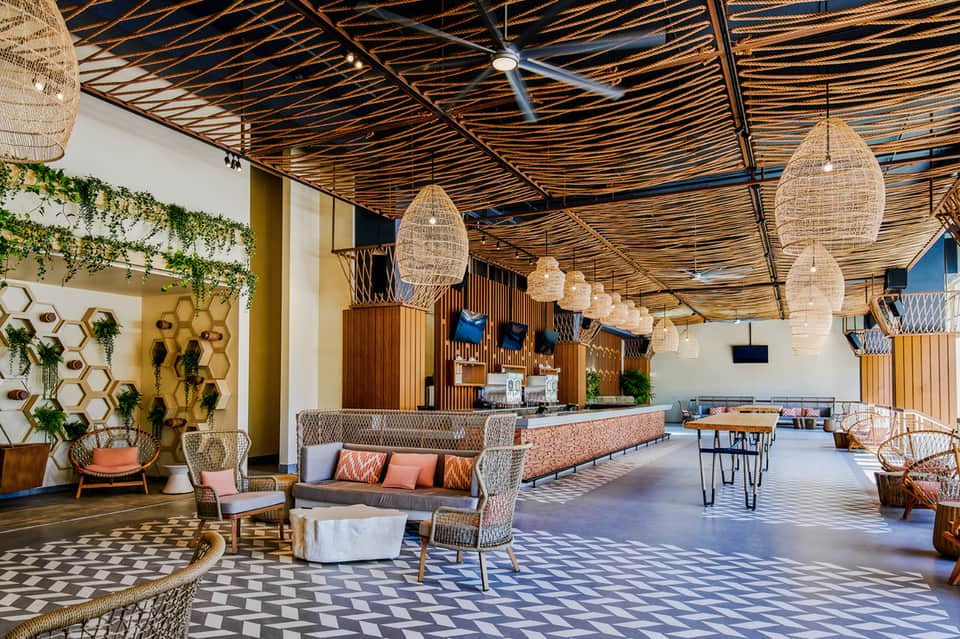 Contemporary hotel lobby with woven pendant lights, plants, and warm earth tones